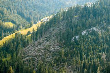 Windwurf in Dolomiten 2018