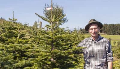 Weihnachtsbaumkauf: Was ökologisch sinnvoll ist