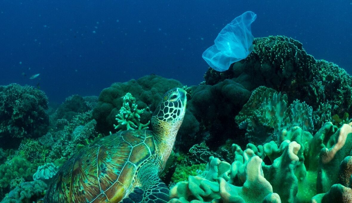 Amazon's große Rolle in der Plastikverschmutzung der Ozeane