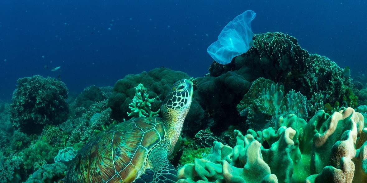 Amazon's große Rolle in der Plastikverschmutzung der Ozeane