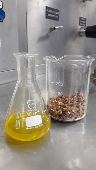 Das aus Apfelkernen gewonnene Öl eignet sich als Zusatzstoff in der Lebensmittelproduktion, hat aber auch nutrazeutische Eigenschaften.