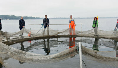 Umweltfreundliche Netze für die Fischzucht