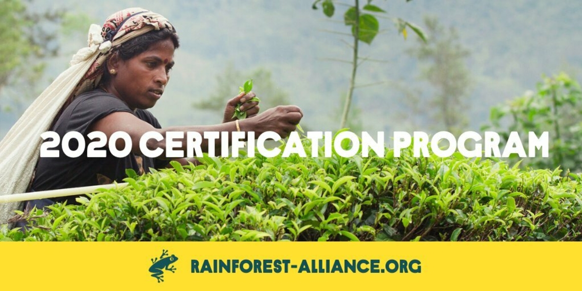Rainforest Alliance: Neues Zertifizierungsprogramm und neuer Standard 