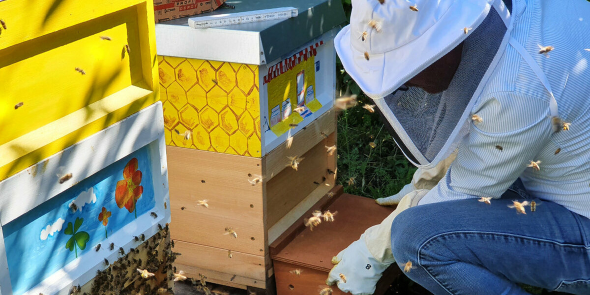 Blütenstaub soll für mehr Nachhaltigkeit sorgen