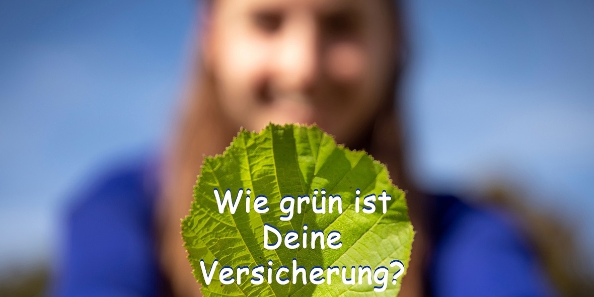 Legen Versicherer Hebel in Richtung Nachhaltigkeit um?