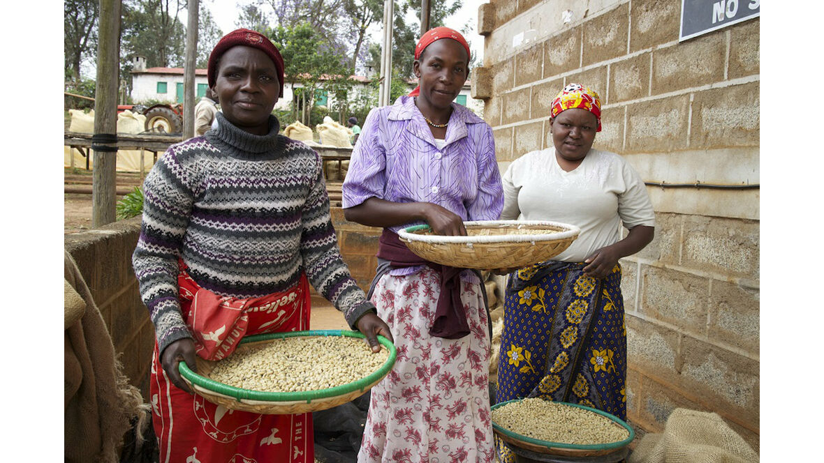 Kaffeefarmerinnen in Kenya
