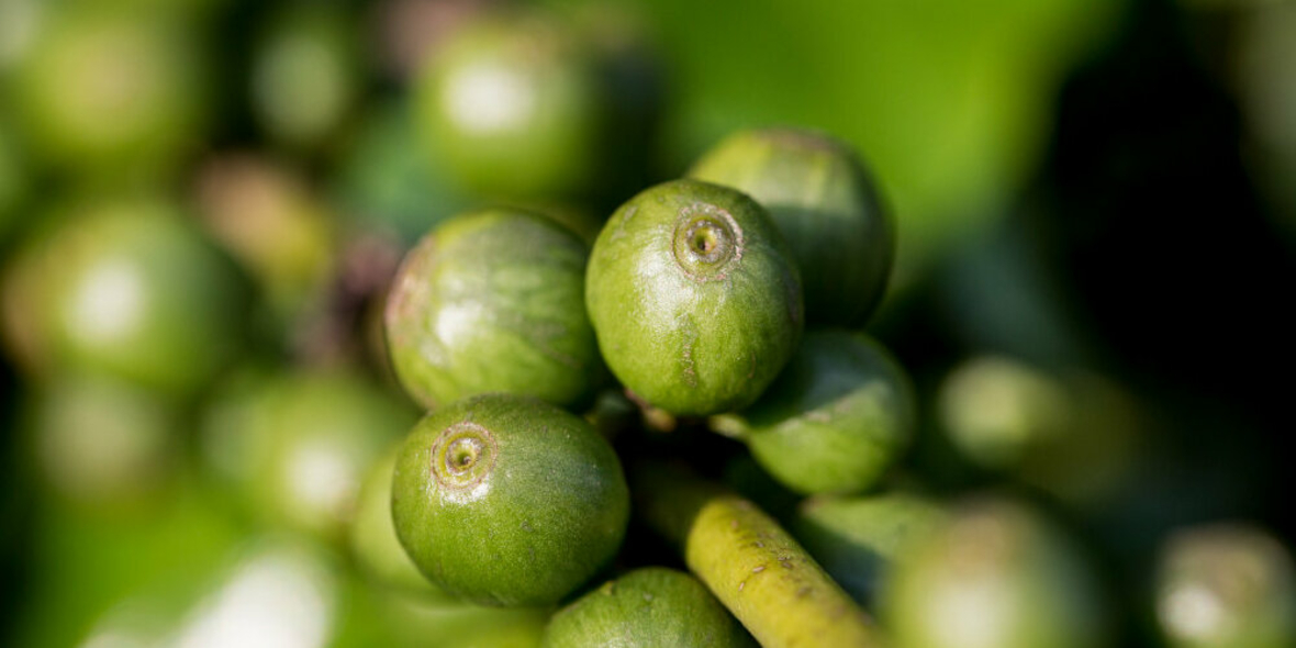 Ressourcen nutzen. Umwelt schonen. Umsätze erhöhen.