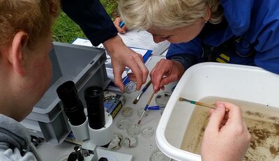 Citizen Science-Projekt zum Fließgewässermonitoring