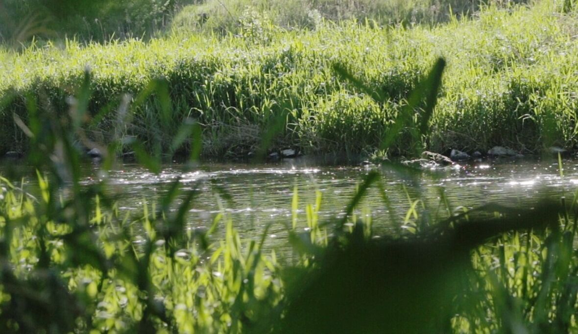 Klimaschutzverträge können Transformationsprozess beschleunigen