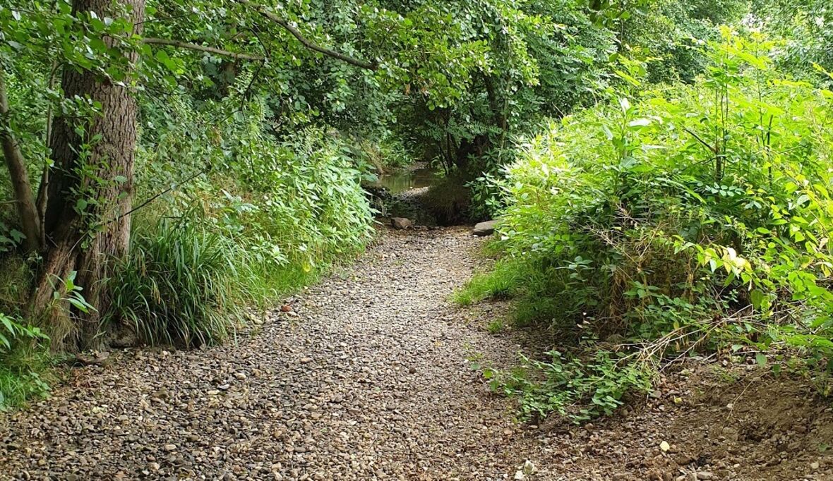 60 von 100 Flüssen weltweit zeitweise trocken