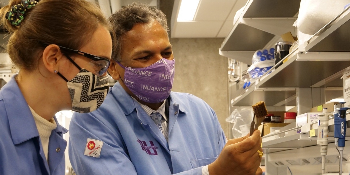 Schwamm gewinnt Phosphat aus Wasser zurück