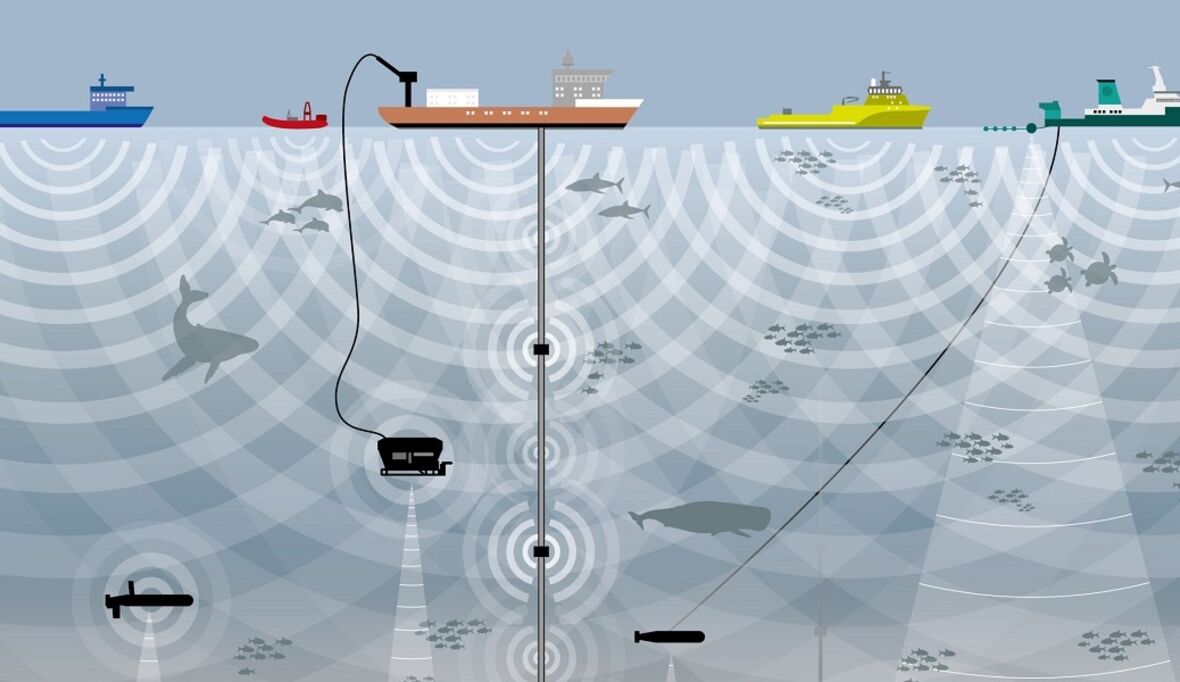 Unterwasserlärm: die versteckte Gefahr des Tiefseebergbaus