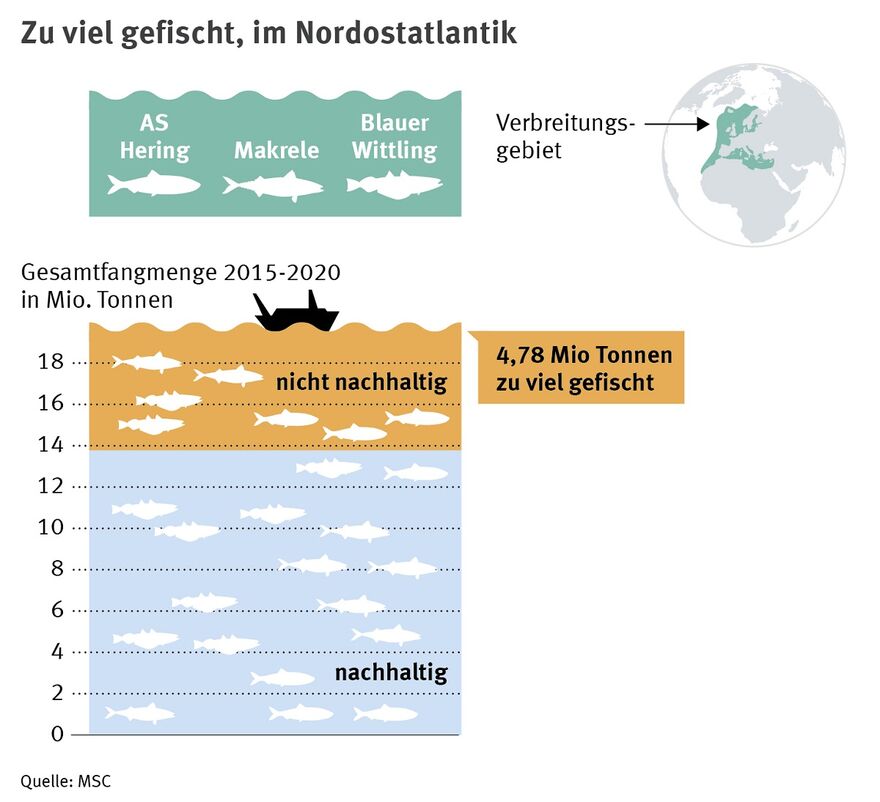 Europas Regierungen forcieren zu starke Befischung des Nordostatlantiks - Eine nachhaltige Quotenregelung muss endlich her