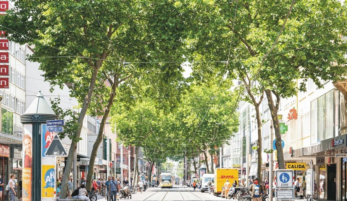 Karlsruher Reallabor für nachhaltigen Klimaschutz