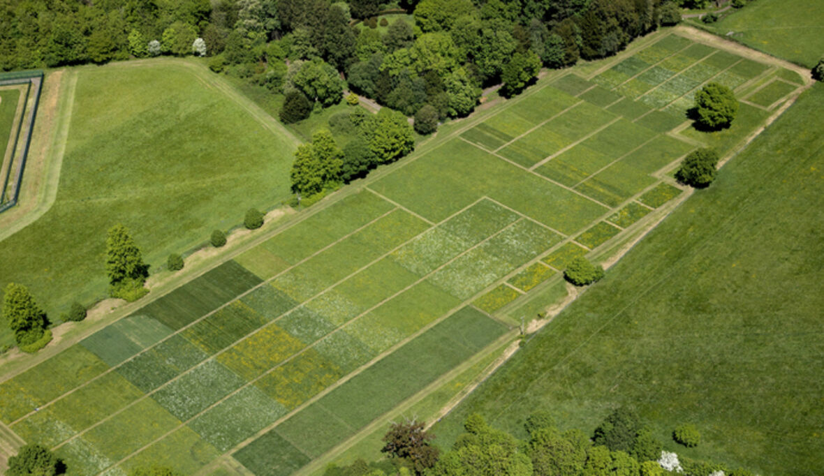 Wie Grünland auf den Klimawandel reagiert