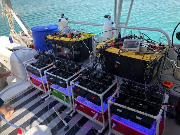 Das Coral Bleaching Automated Stress System wurde als transportabler „Klima Schnelltest“ für Korallen entwickelt, um vor Ort und innerhalb von Stunden Aussagen darüber treffen zu können, wie widerstandsfähig Korallen sind bzw. wie stark sie bereits von den Auswirkungen des Klimawandels betroffen sind.