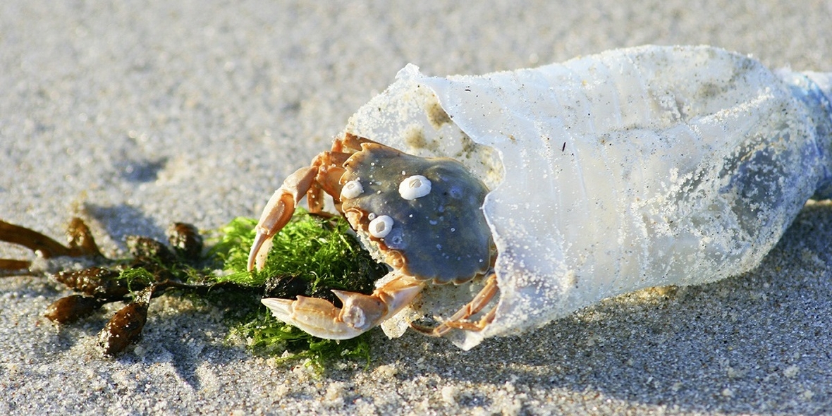 Mikroplastik im Meer: Ausmaß noch nicht absehbar