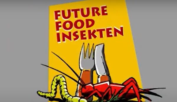 Digitale Ausstellung „Future Food Insekten – Nachhaltigkeit schmeckt“ ist gestartet
