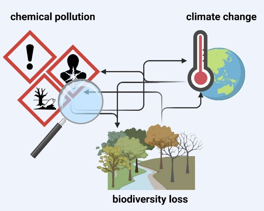 Wechselwirkungen zwischen Klimawandel, Artenvielfalt und chemischer Verschmutzung