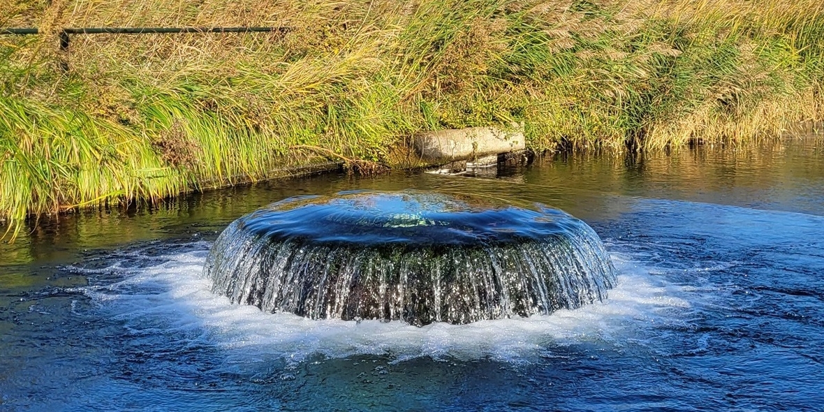 Jahresbericht: Wasserqualität des Rheins verfehlt die Ziele