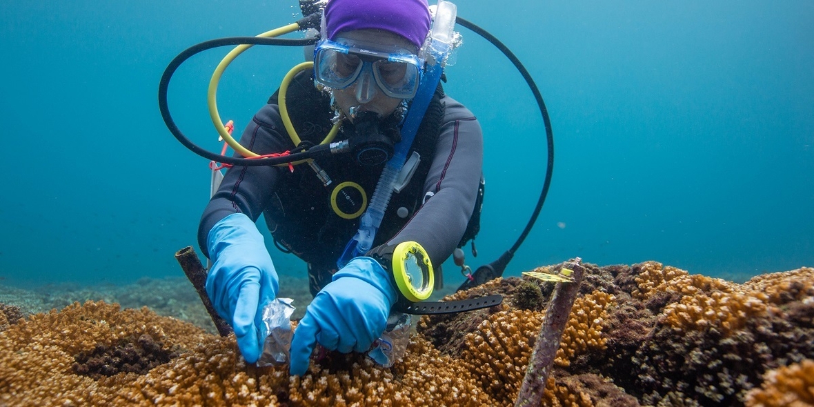Beim Ozeanschutz auf Menschen in den Tropen hören