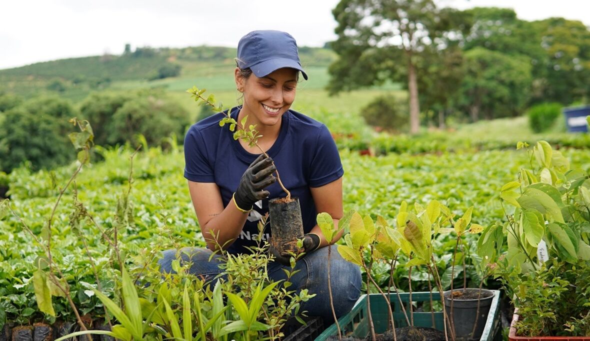 Miele startet regenerativen Kaffeeanbau mit reNature in Brasilien