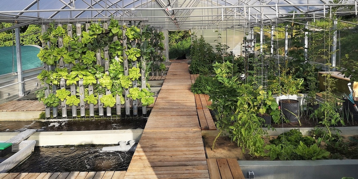 Dezentrale nachhaltige Lebensmittelproduktion