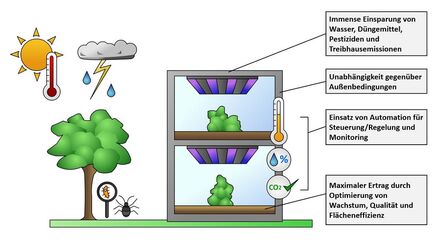 Schematische Darstellung einer vertikalen Indoor-Farm mit Angaben zu relevanten Vorteilen. 