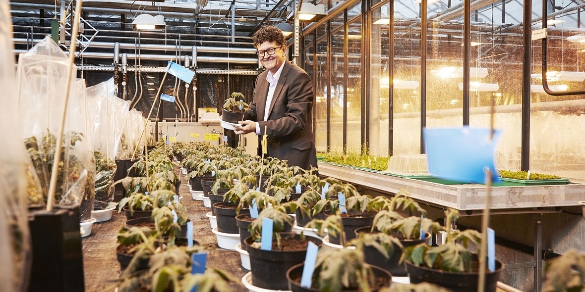 Grüne Gentechnik: Chancen für eine nachhaltigere Landwirtschaft