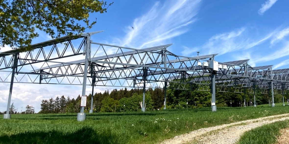 Agri-Photovoltaik: Letzte Hürden bremsen den Technologie-Schub aus