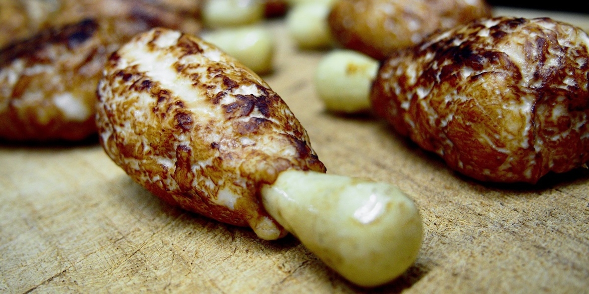 Biobasierte Beschichtung kann für Verpackungen und Lebensmittel eingesetzt werden