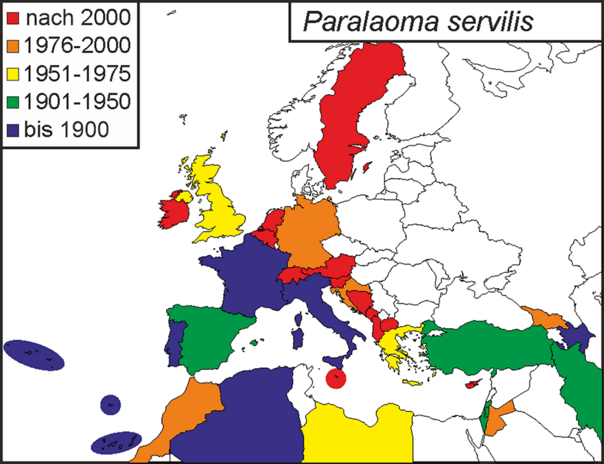 Die Studie belegt die starke Ausbreitung der Landschneckenart Paralaoma servilis. Sie wurde aus der australischen Region eingeschleppt und hat sich im Laufe des vergangenen Jahrhunderts immer weiter im Mittelmeerraum bis ins nördliche Europa etabliert.