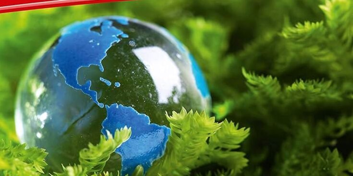 Was Controller und Manager über die Steuerung der Nachhaltigkeit wissen sollten