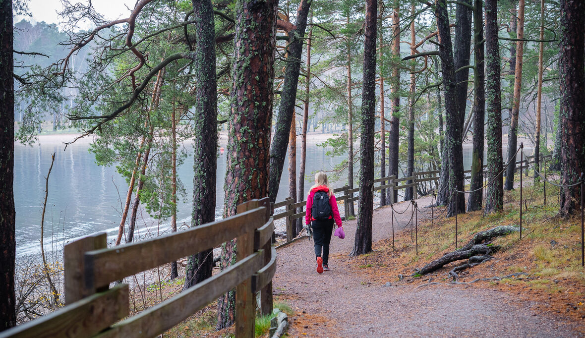 Helsinki verdoppelt Schutzgebiete an Land – und verzehnfacht sie im Meer