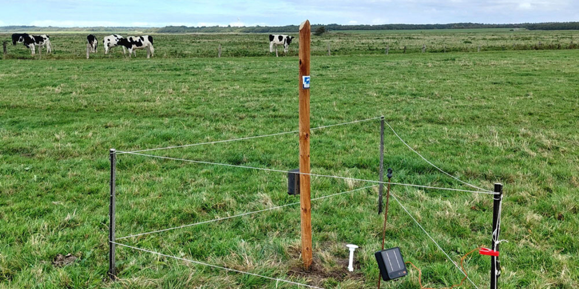Projekt „KI-Nationalpark“ – digitale Innovationen für Umwelt- und Naturschutz