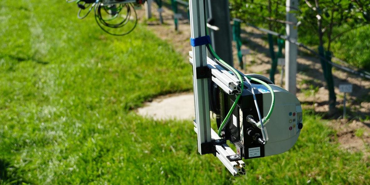 Sonnenschutz für Obst – ATB aus Potsdam entwickelt Frühwarnsystem