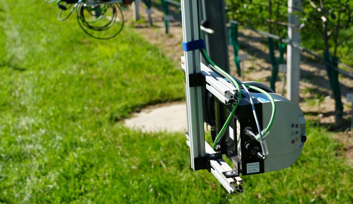 Sonnenschutz für Obst – ATB aus Potsdam entwickelt Frühwarnsystem