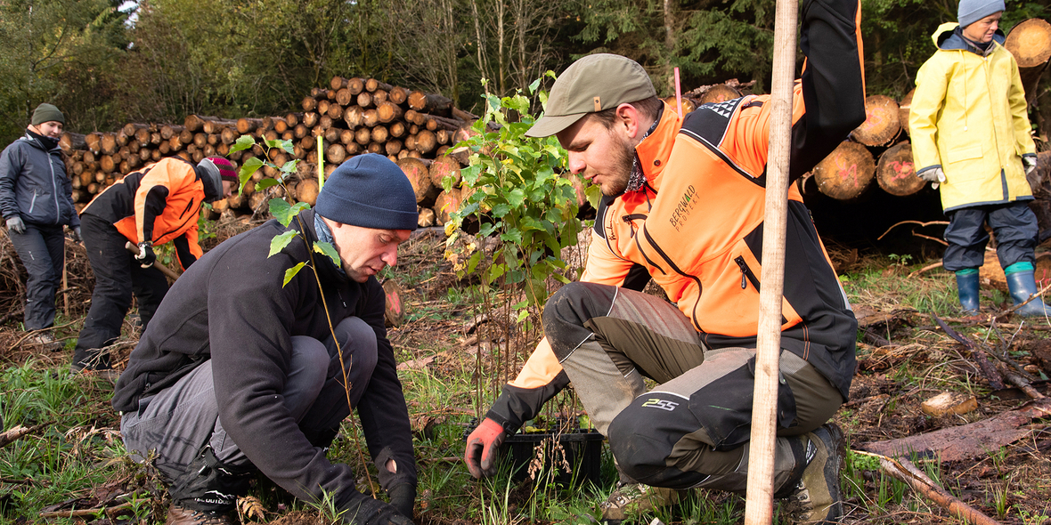 35 Jahre Bergwaldprojekt: Jubiläumspflanzung im Harz