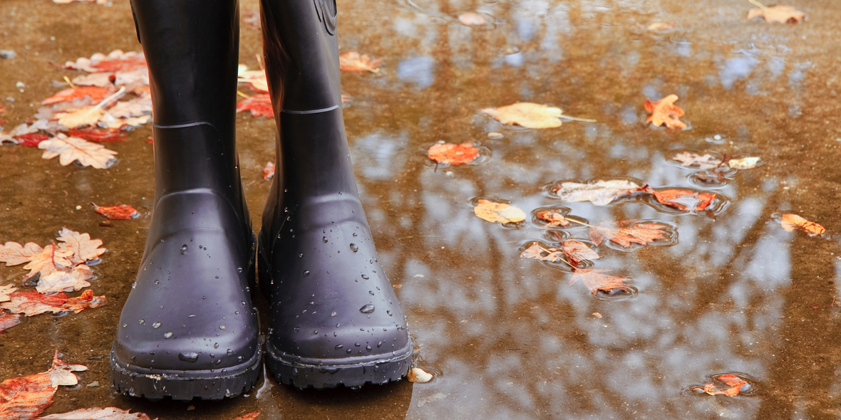 Warum Laub Wasserschäden verursachen kann