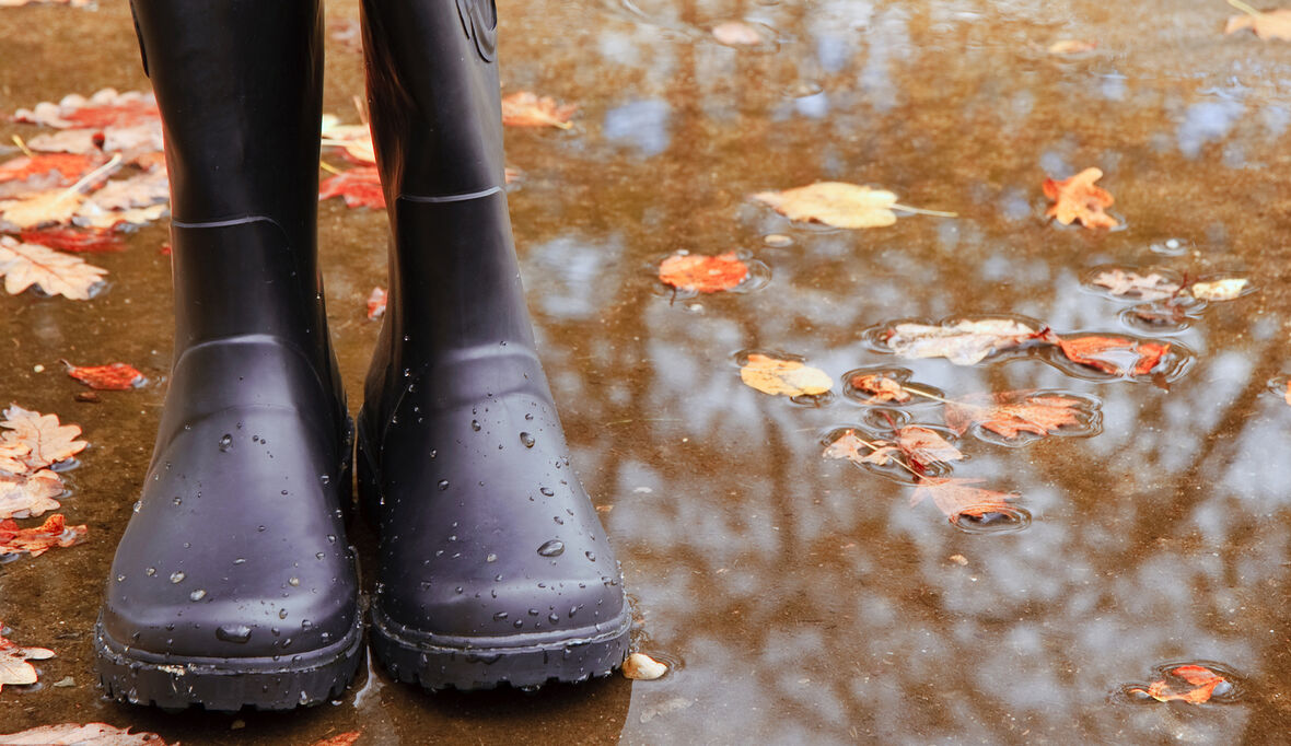 Warum Laub Wasserschäden verursachen kann
