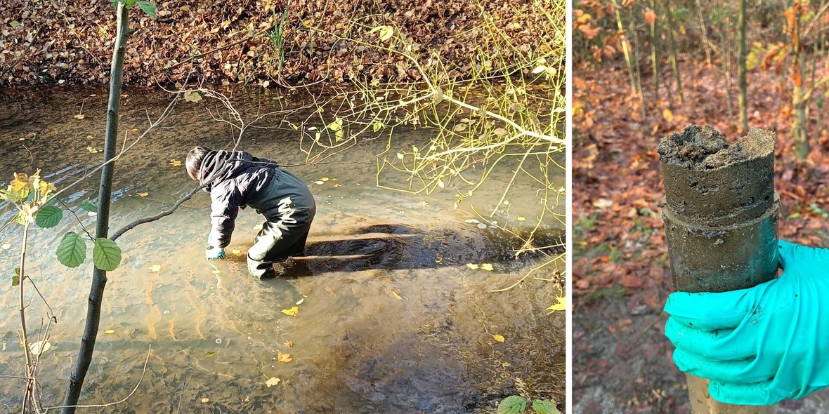 Hitzestress im Flussbett – Studie untersucht Fluss-Mikrobiom