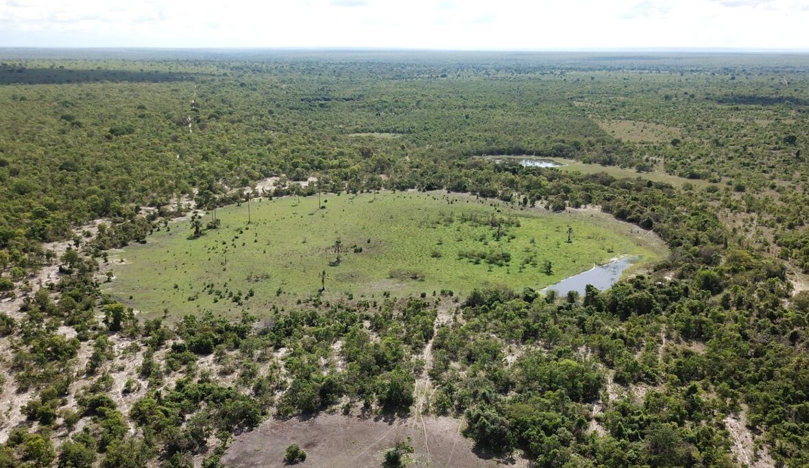 „Feenkreise“ als Wegweiser: Neue Studie entschlüsselt Hinweise auf Wasserstoffquellen
