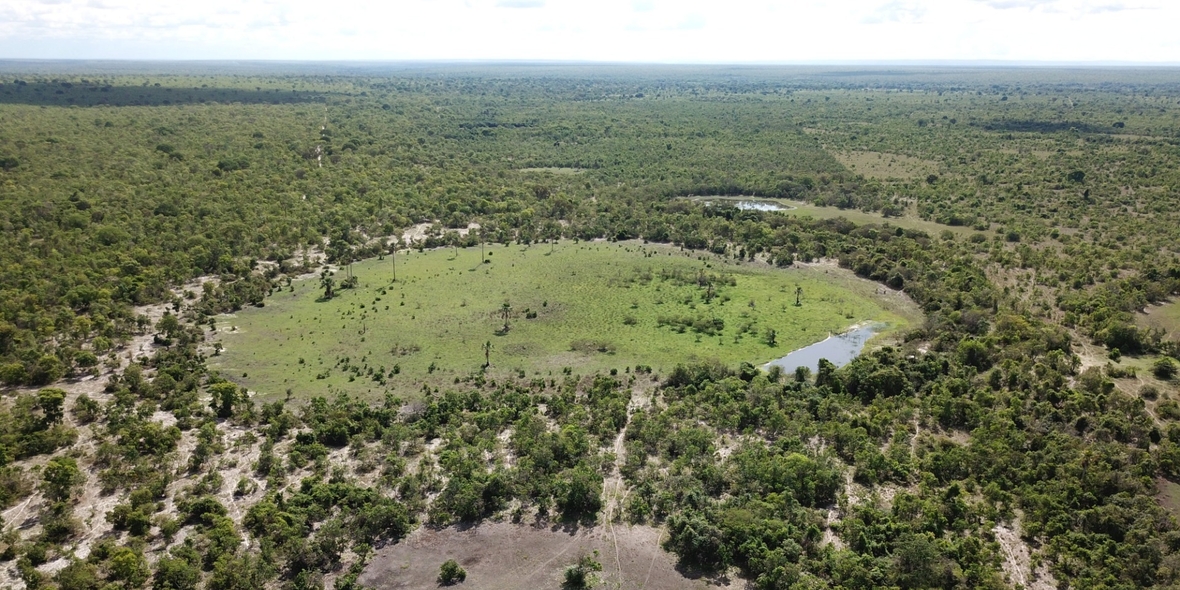 „Feenkreise“ als Wegweiser: Neue Studie entschlüsselt Hinweise auf Wasserstoffquellen