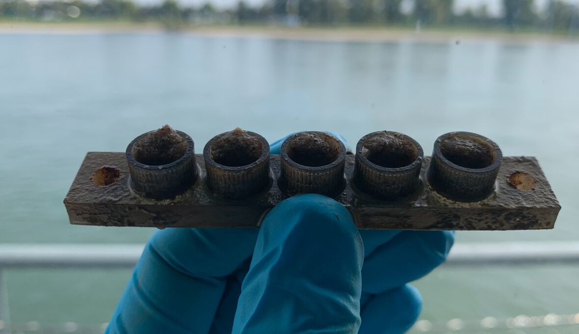 Wie Mikroplastik die Flussökologie verändert