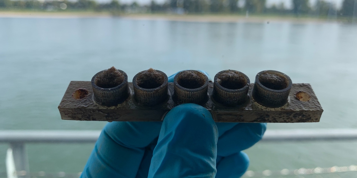 Wie Mikroplastik die Flussökologie verändert