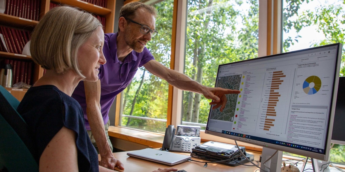 Welche Bäume haben im Klimawandel Zukunft?