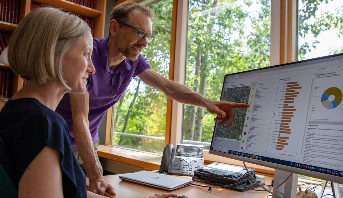 Welche Bäume haben im Klimawandel Zukunft?