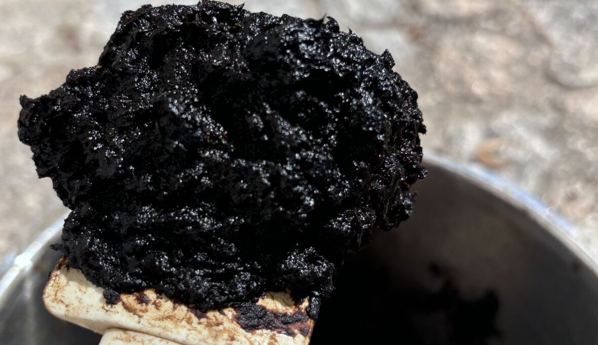 Künstlicher Torf aus dem Schnellkochtopf: ATB in Potsdam erzielt Durchbruch bei Torfersatz