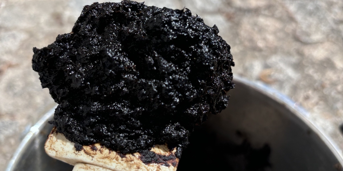 Künstlicher Torf aus dem Schnellkochtopf: ATB in Potsdam erzielt Durchbruch bei Torfersatz