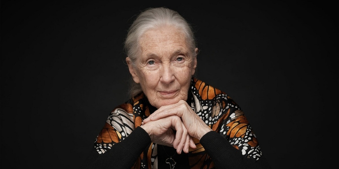 Jane Goodalls Vermächtnis für eine nachhaltige Zukunft